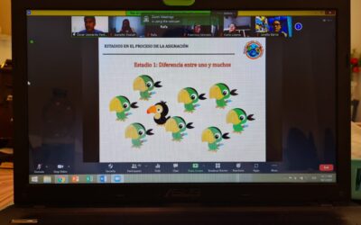 Webinario sobre Enseñanza del Conteo y la Agrupación en Preescolar