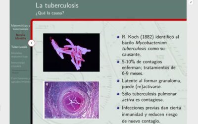 Webinar on Tuberculosis and Mathematics