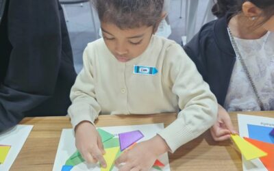 Fun Math Workshop for Electric Power Engineers