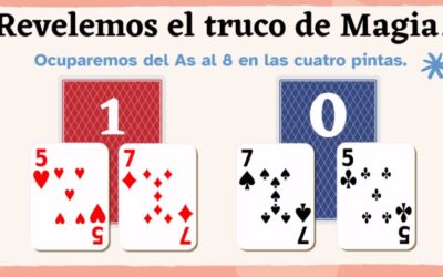 Webinar on From Bridges to Magic