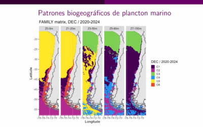 Virtual Encounter with Outstanding Mathematicians #51